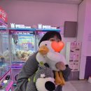 락휴테마파크 이미지