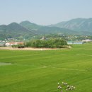 보리목장 이미지