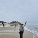 원산도에서 이미지
