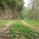 완규농장 이미지