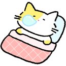 해피쿼카