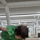 선데이키즈클럽 서초