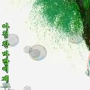 가로수 공인중개사사무소 이미지