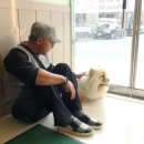 피움동물병원 이미지