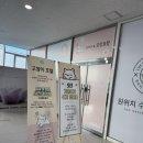 묘랑나랑 이미지