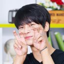 엔 티브이데일리