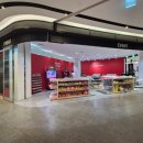 101성인PC 이미지