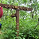 대간길 17일차(내북마을~삼도봉~우두령 18.2km 9.0시간)..나홀로 산행.. 이미지