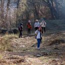 위례사랑길 이미지