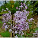 늘푸른전당 헬스장 이미지