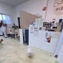 호동이푸드