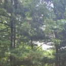 등촌샤브샤브칼국수 이미지