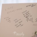 이안솔라 이미지