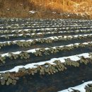 김명복농장 이미지