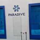 그 레벨에 잠이오니 | 풀렁 다이내믹과 CWT 자세교정한 프리다이빙 세션 강습 후기(레벨3 과정 중)