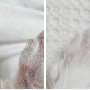 범서한방동물약국 이미지