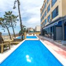 반도스파인 이미지