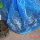 장수정육점 이미지