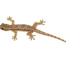 생각스케치 이미지