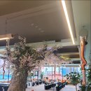 지수만풍천민물장어 이미지