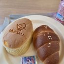 양촌애견 | 쌀로 만들어 더 편안한 김포 애견동반 카페, 김포카페 달미랑 방문후기