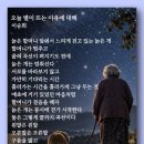 오늘 별이 뜨는 이유에 대해 - 이승희 이미지