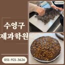 [남부] 제과제빵기능사준비과정 | 부산 수영제과제빵학원 제과기능사 원패스 도전! (feat.브라우니 감점 포인트)
