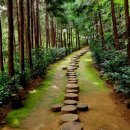 숲길농원 이미지