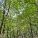 와선대화장실 이미지