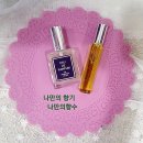 마음지기 자민