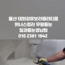 유보라클리닝 이미지