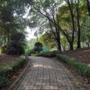 번데미 공원 이미지