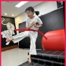 KTIGERS 동탄역관 태권도장 이미지