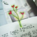 (주)인디고파리