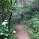 원주굽이길 16코스 매지순환둘레길 이미지