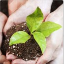 지에스이 이미지