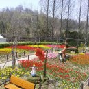 동물원(중앙잔디밭)