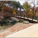 마곡사성보박물관 이미지