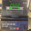 까사비앙카 | [2025년] 4월 두번째일기(대전홈앤창, VBC까사, 빌레로이앤보흐, 리베코이불, 화전리구름식빵, 태화장...