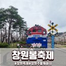 동읍663 | 진해군항제 어디부터 가야 할지 고민된다면 창원 봄축제 코스 정리해봤어요