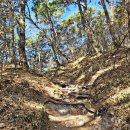 장성마을 건너 | 전남담양潭陽 금성산성金城山城 반바퀴 그리고 꽃피는 동자암,연동사 &amp; 꽁냥꽁냥길 (2026/03/21)