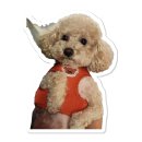 CU 기장아쿠아월드점 | 솔직후기 cu편의점 간식추천 하이볼추천 잘산템 추천템 과자추천템 과자잘산템