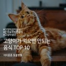 아이튼튼동물병원 이미지