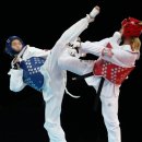 흑룡태권도 이미지