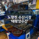 태평양수산 | [노량진] 수산시장횟집 '태평양수산', 모듬회 후기