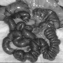 강앤정동물병원 이미지