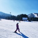 웰리힐리파크 이미지