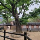 정동문화 - 성남시 중원구 | 덕수궁 돌담길 따라 걷는 시간여행 / 서울도보해설관광 ‘모던타임즈 인 정동’ 후기