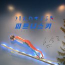 피트니스키 FITNESSKI | 엘리시안스키·강촌스키 강습은 역시 피트니스키! 어린이부터 성인까지 믿고 맡기는 스키레슨 후기