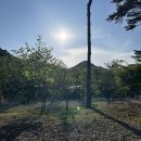 산새소리 | 강원도 캠핑_양양 오색산새소리캠핑장